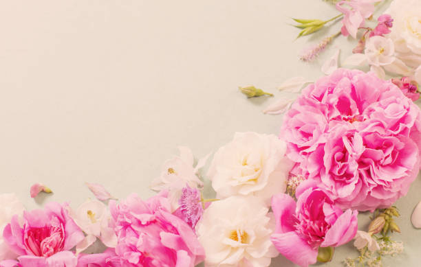 istock pink and white roses on paper background 1292196414