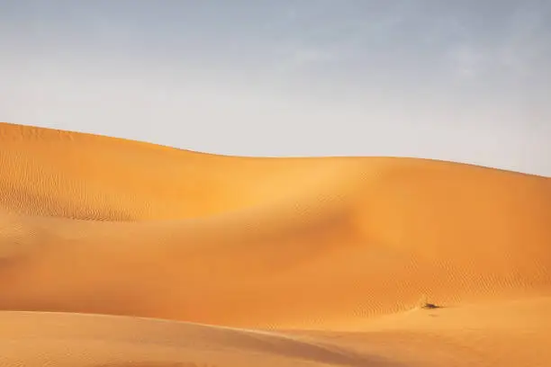 Empty Quarter Desert Dunes. Sea of sand in the Rub' al Khali Desert under blue skyscape. Empty Quarter Desert Dunes near the border of Saudi Arabia and the United Arab Emirates. Emirate of Abu Dhabi, United Arab Emirates, Middle East, Persian Gulf Countries