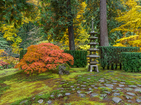 An autumn day looking into colorful trees at the Portland Japanese Garden. A stone Pagoda lantern and evergreen trees, with a stone and moss foreground are featured. This 18 ft, 5 story, 2 ton Lantern, is a traditional Buddhist pagoda. Was given to the City of Portland Oregon by its sister city Sapporo, Japan . Is named Goju-no-to and is also  referred to as the Sapporo Pagoda.  This Garden is located in the Pacific Northwest in in Portland, Oregon. I am a Photographer level member of the Portland Japanese Garden as required by the Garden for Commercial use of photos. Property Release included. Edited.