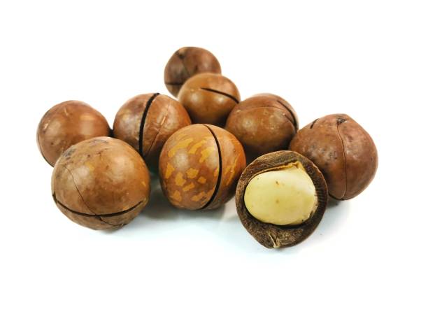 istock Photo of Macadamia on white background. 1292201231