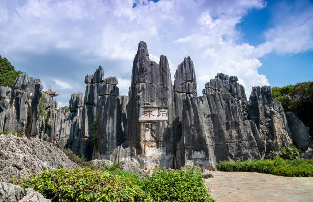 China - East Asia, Stone Forest - Kunming, Yunnan Province, Clear Sky, Copy Space. The Stone Forest or Shilin  is a notable set of limestone formations. The tall rocks seem to arise from the ground in a manner somewhat reminiscent of stalagmites, or with many looking like petrified trees, thereby creating the illusion of a forest made of stone. Since 2007, two parts of the site have been UNESCO World Heritage Sites as part of the South China Karst.Tourist at the remote.