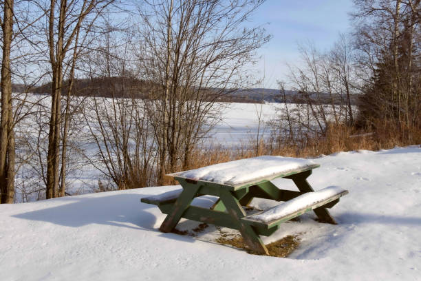istock Place for picnic in a park awaiting spring and its guests 1292203100
