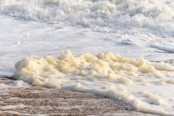 Windswept sea foam on a beach in the Atlantic Ocean near Olonne sur mer in France