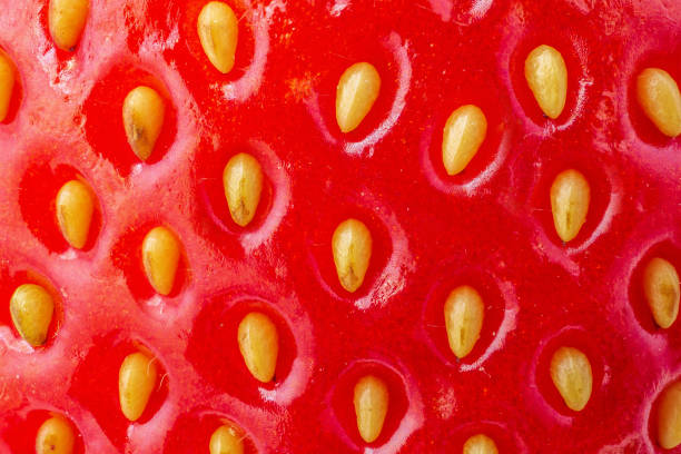 istock Fresh Strawberry texture close up background 1292206622