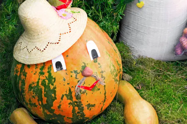 Large ripe pumpkin стилизованная under an amusing figure in a straw hat
