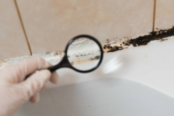 nous considérons le moule sous une loupe. dans la salle de bain, un moule noir s’est formé dans le mastic en silicone - molded photos et images de collection