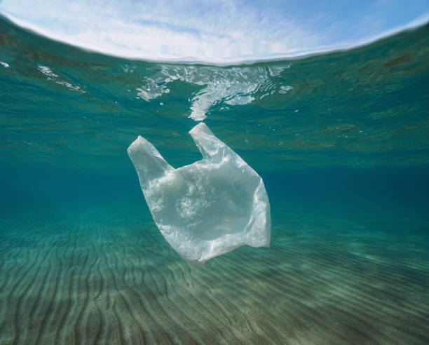 istock Plastic pollution underwater plastic bag in sea 1292211176