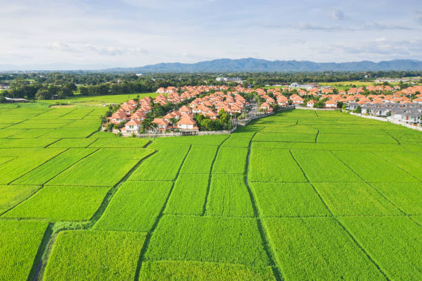 istock Aerial of housing subdivision or development. 1292211242