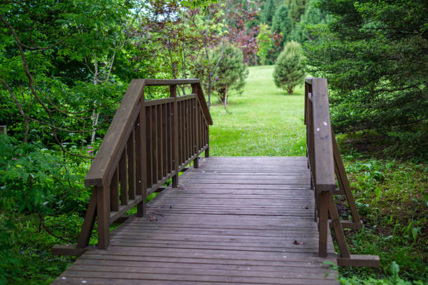 istock wooden boardwalk trail in green forest 1292211458