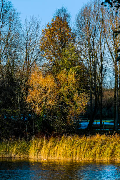 istock walking footpath autumn fall nature outdoors landscape environment beautiful 1292215160