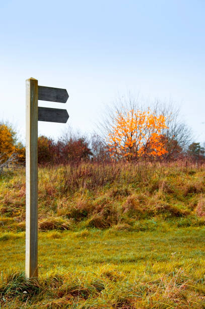 istock walking footpath autumn fall nature outdoors landscape environment beautiful 1292215508