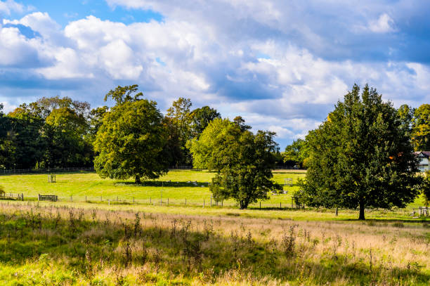 istock walking footpath autumn fall nature outdoors landscape environment beautiful 1292215587