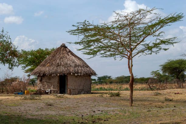 capanna di fango africana - hut africa grass hut mud hut foto e immagini stock