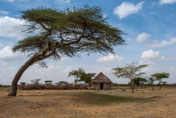 capanna di fango africana - hut africa grass hut mud hut foto e immagini stock