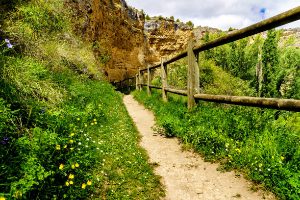 istock Green landscape with walking path and high rock wall. 1292216552
