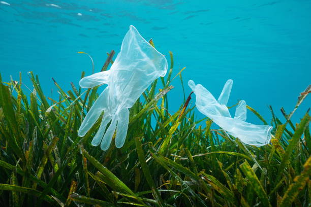 istock Plastic waste in the sea disposable gloves 1292216569