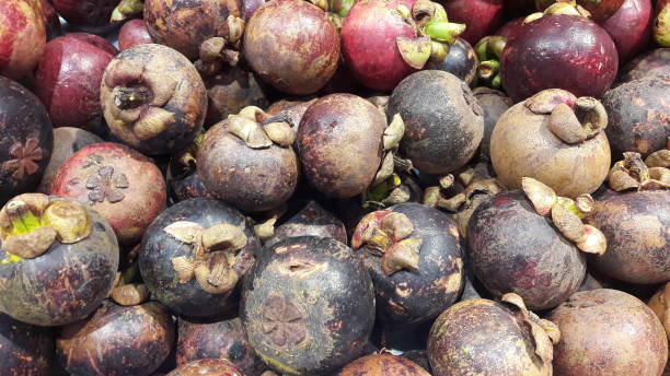 istock sweet mangosteen 1292216692