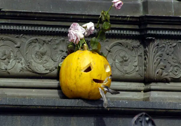 Photo of jack o lantern, halloween pumpkin