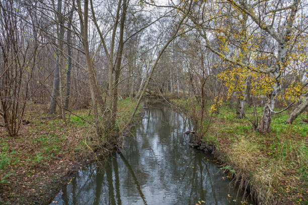 istock Small creek in a public park at winter 1292218689