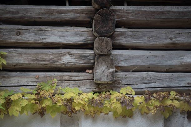 a wood connection or timber joint on a log house