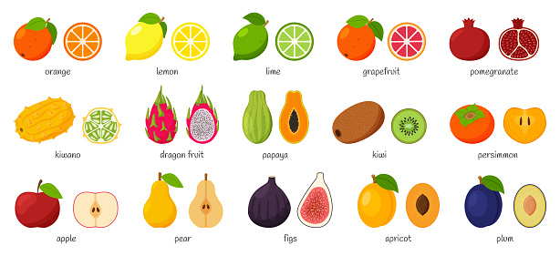 Large collection of tropical, exotic, citrus fruits with names. Set of cutaway fruits. Pairs of fruit, whole and cut in half. Flat vector illustration. Design elements isolated on a white background.