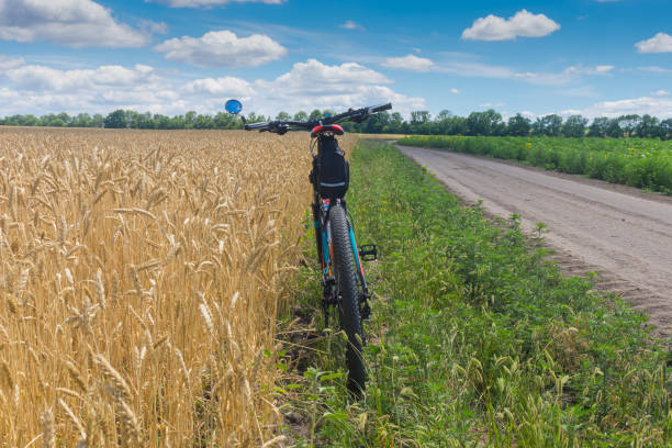 istock Landscape with an earth road through summer fields and bicycle resting on the roadside 1292221852