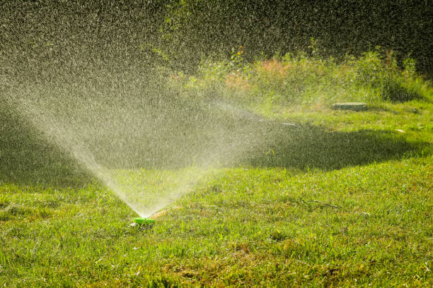 istock Water Garden Sprinkler. Landscape automatic garden watering system. Lawn irrigation system. Spraying water on the lawn in hot weather. 1292229455