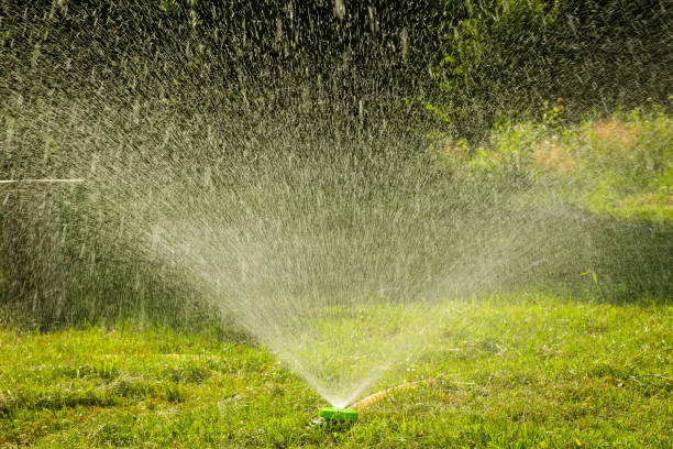 istock Water Garden Sprinkler. Landscape automatic garden watering system. Lawn irrigation system. Spraying water on the lawn in hot weather. 1292229478