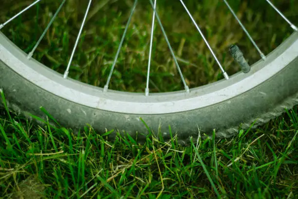 Bicycle Wheel In Summer Green Grass Meadow Field. Close Up Detail.