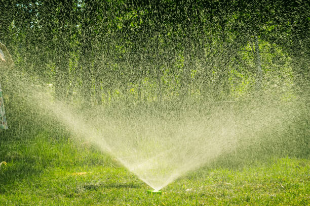 istock Water Garden Sprinkler. Landscape automatic garden watering system. Lawn irrigation system. Spraying water on the lawn in hot weather. 1292229666