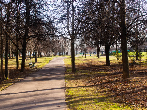 istock shade from the trees in the park in spring 1292239373