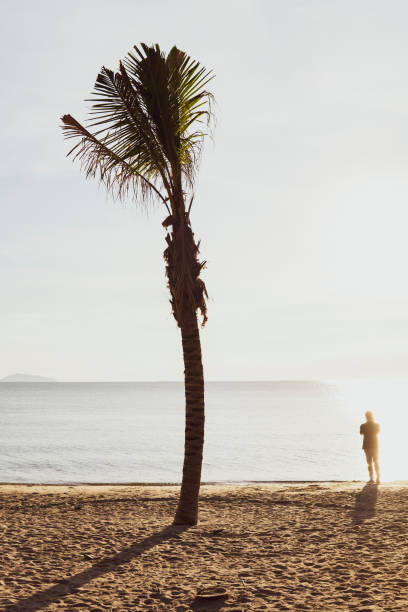 istock Coconut tree on the beach with sunlight from the sea 1292243216