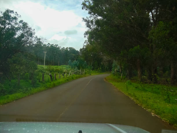 istock road on Easter Island. Roads and highways on the island. 1292245864