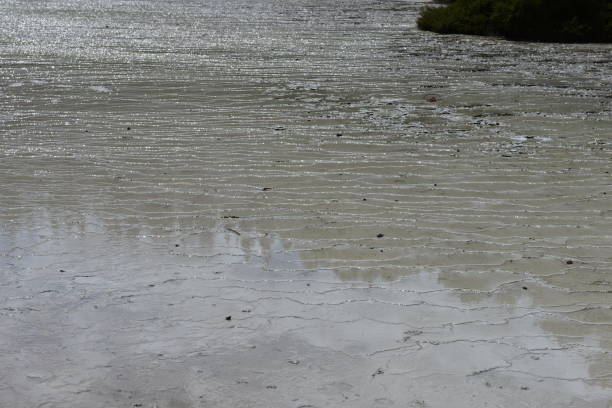 istock Waiotapu Thermal Wonderland 1292246347