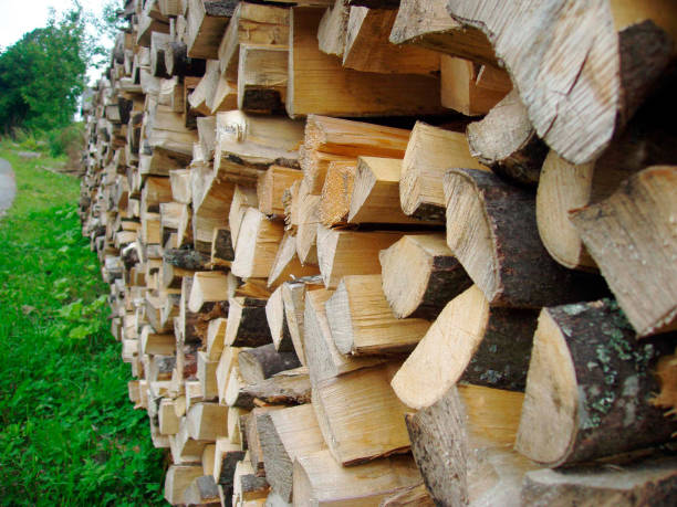 istock firewood, a renewable energy resource 1292246954