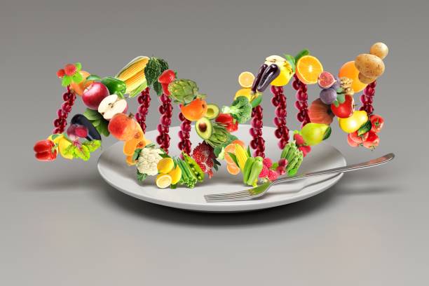 영양유전학 식품 개념 dna 가닥과 과일과 채소로 만든 dna 가닥은 건강한 삶을 위해 먹을 준비가 되어 있습니다. - genetic modification dna tomato genetic research 뉴스 사진 이미지