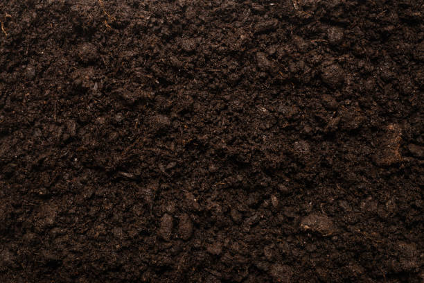 istock Black land for plant background. 1292251089
