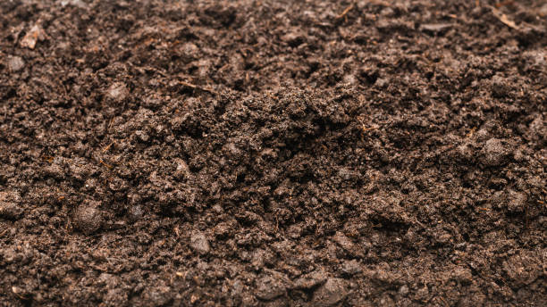 istock Black land for plant background. 1292251156