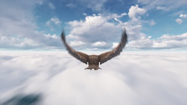 Eagle 3d Stock Videos and Royalty-Free Footage - iStock