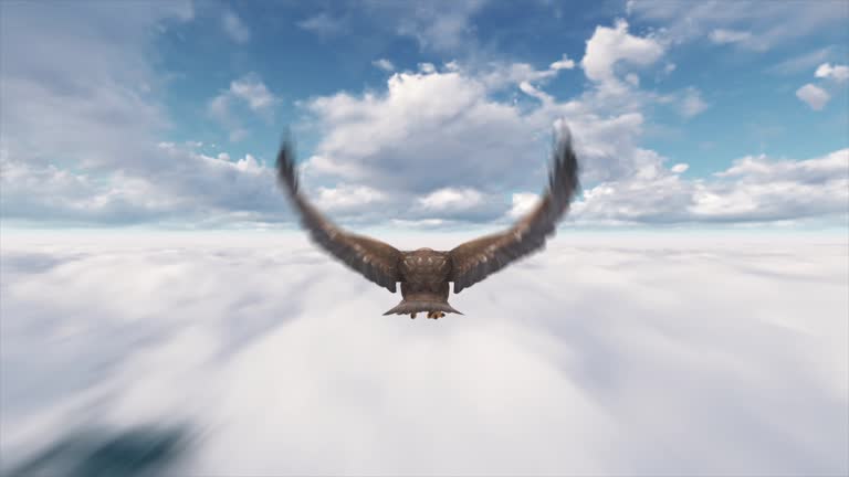 Eagle 3d Stock Videos and Royalty-Free Footage - iStock Eagle 3d Stock Videos and Royalty-Free Footage - iStock