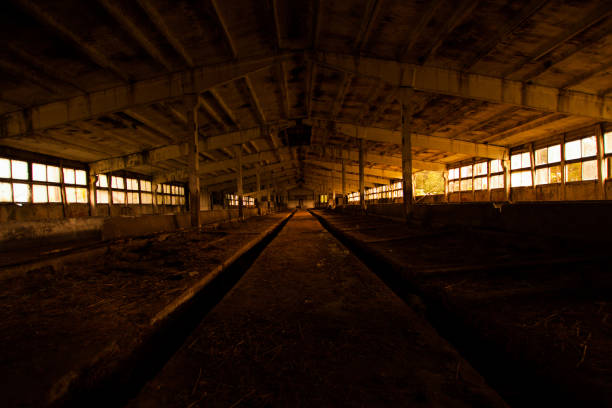 Old abandoned cowshed Old abandoned cowshed with broken windows in warm sunset lights. barren cow stock pictures, royalty-free photos & images