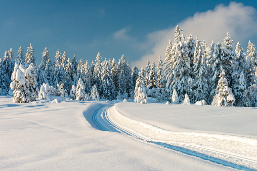 Snowy winter landscape at the edge of the forest with a cross-country ski trail. Photographed at the Boedele, Vorarlberg, Austria.