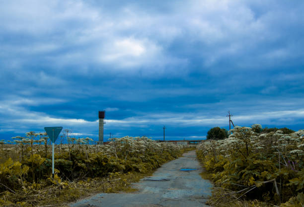 Psychedelic view of the road in angelica field, road sign, water tower, abandoned buildings and cold cloudy sky background.