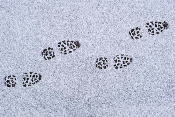 istock New footprints in the snow 1292255069