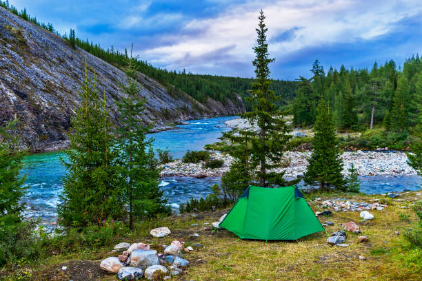 Tent camp in a clearing among fir trees on the river bank on a summer evening stock photo