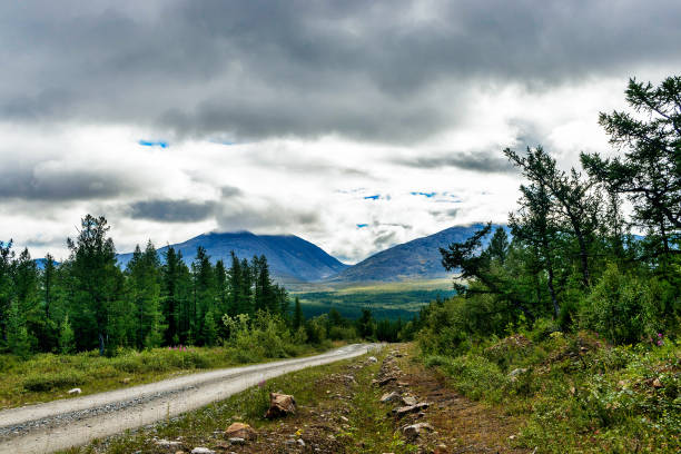 istock Dirt road through the northern taiga 1292257290