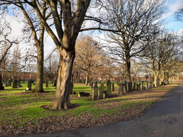 istock View of old cemetery 1292258539