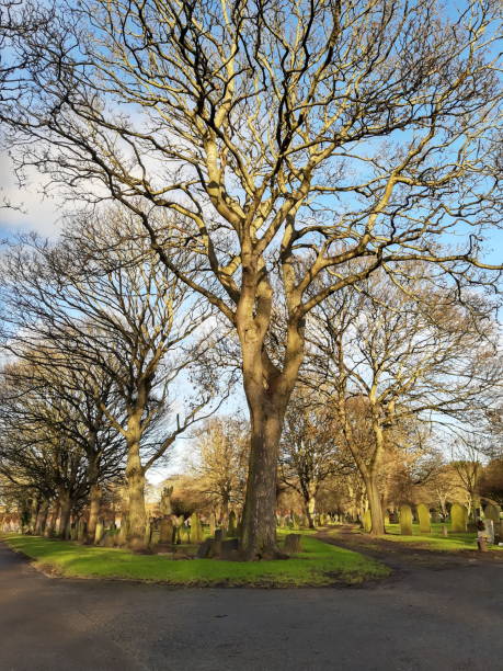 istock View of old cemetery 1292258706