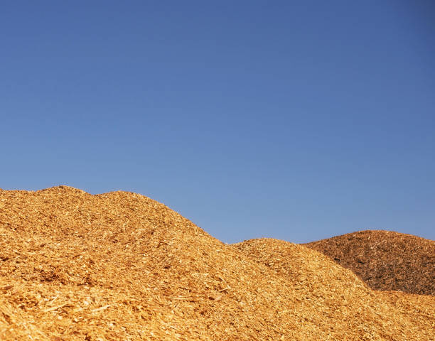 Mountains dry industrial chips under the open sky. stock photo