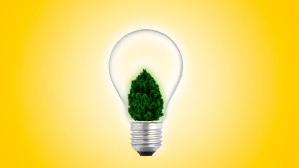 istock Sustainable development, ecology and environment protection concept Bulb with green grass light, renewable energy, people and natural resources, recycling 1292260514